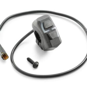 Combination switch